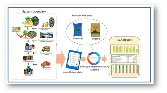 Life cycle assessment of cocoa farming sustainability by implementing compound fertilizer 