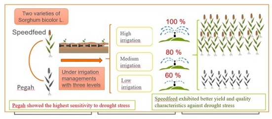 Drought stress tolerance based on selection indices of resistant crops variety 