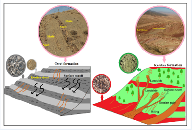 Erodibility and sedimentation potential of marly formations at the watershed scale 