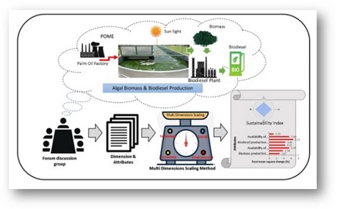 Sustainability index analysis of microalgae cultivated in biorefinery palm oil mill effluent 